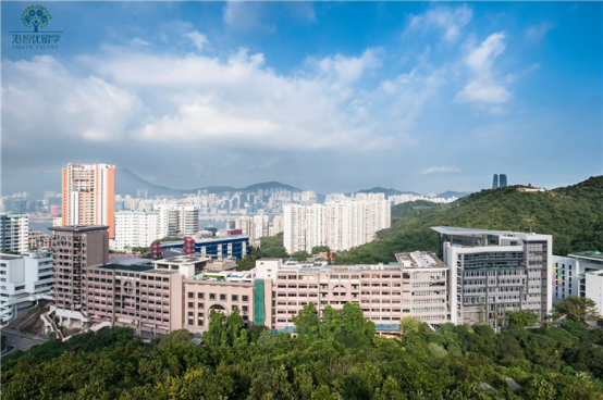 香港的國際學校真的這么高不可攀？不買債券就別想讀？