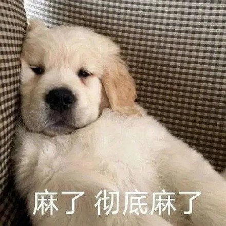 留學生10大最難學專業，金融竟然是最后一名？
