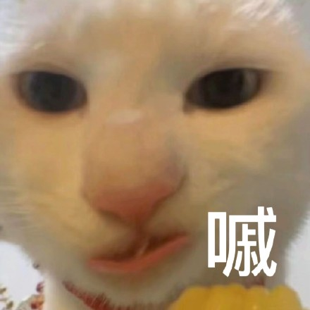 留學生10大最難學專業，金融竟然是最后一名？