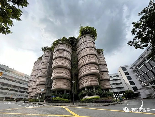 新加坡留學碩士，恭喜H同學喜提新加坡南洋理工大學金融碩士offer