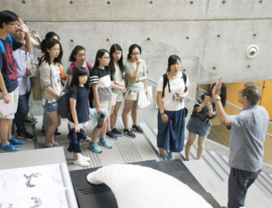 香港大學夏校申請！5月31日截止，有機會拿到港大教授推薦信！
