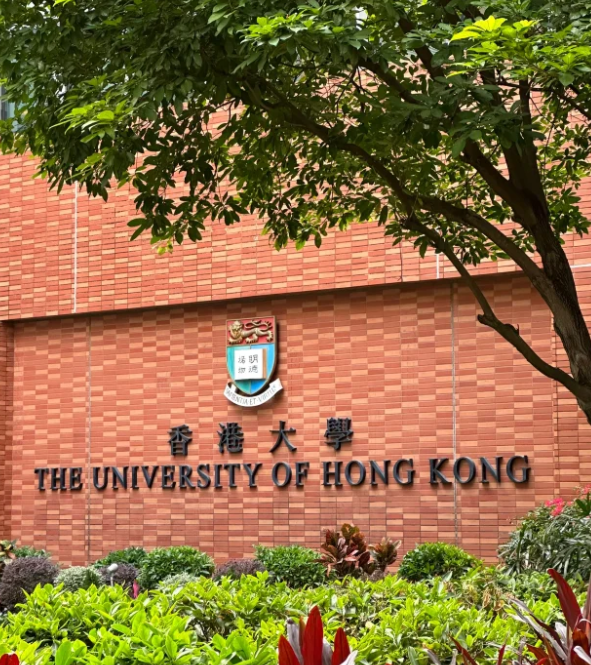 香港大學會計與財務分析理學碩士，申請攻略詳解！