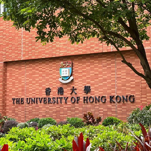 香港大學25Fall新增11個專業，盤點申請要求！
