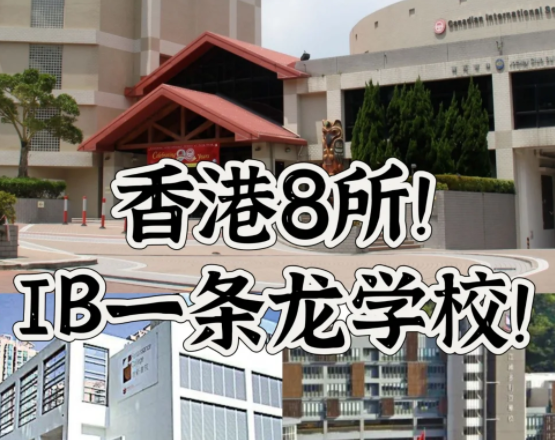 香港IB一條龍學校，僅此8所！